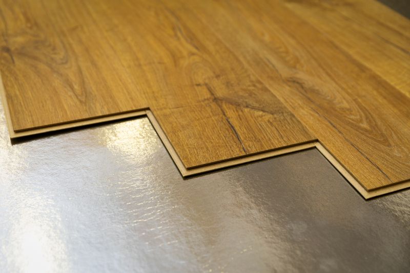 Plank Laminate Installation in Putnam County, FL